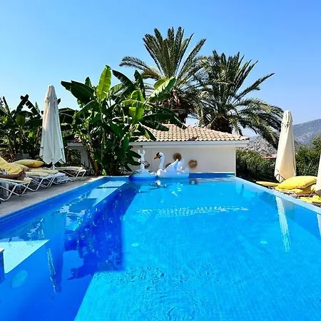 Maison d'hôtes Gala Selimiye