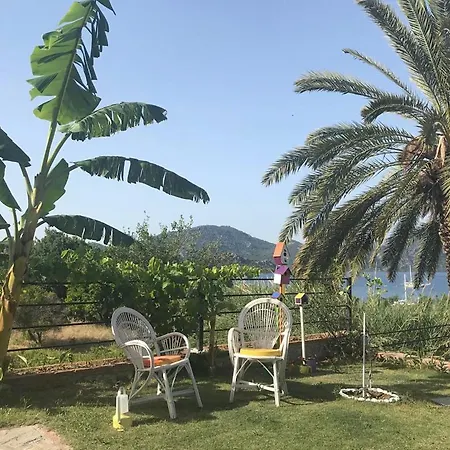Gala Selimiye 3*